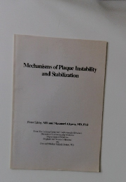 Mechanisms of Plaque Instability and Stabilization 