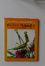 絵本　ファーブル昆虫記　1　