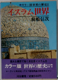カラー版世界の歴史8　イスラム世界