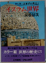 カラー版世界の歴史8　イスラム世界