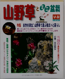 山野草とミニ盆栽　1997早春号
