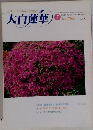 大白蓮華　2000　7
