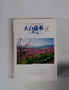 大白蓮華　2002年6月号