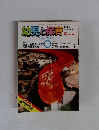 幼児と保育　1984年８月