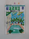 続基礎英語　1993年8月