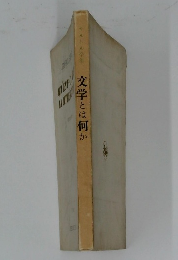 文学ととは何か