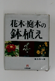 花木・庭木の鉢植え