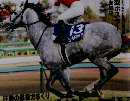 Gallop　2013年1月6日号