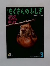 たくさんのふしぎ　3