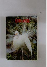 小学館の学習百科図鑑　4　鳥類の図鑑