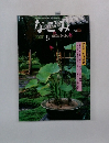 なごみ2000　8　茶のあるくらし