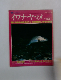 イワナ・ヤマメ　