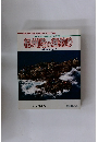 紀州路の海釣り　日本の釣りシリーズ