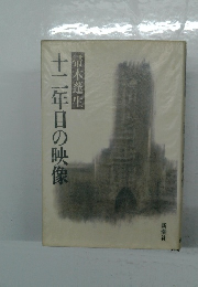 十二年目の映像