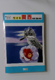 ワイド　関西　最新道路地図