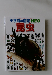 小学館の図鑑NEO 昆虫