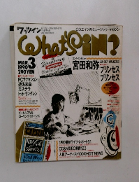 What'sSiN?　1990年3月号
