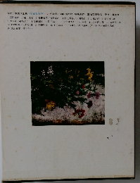 現代日本美術全集 <愛藏普及版> 17 