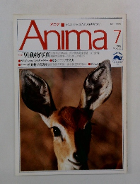Anima　1991年7月号