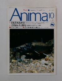 Anima　1991年10月号