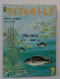 たくさんのふしぎ　1986年7月号