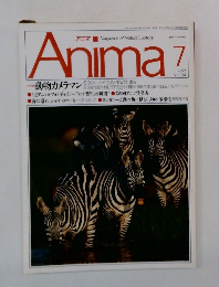 Anima　1992年7月号　No.238