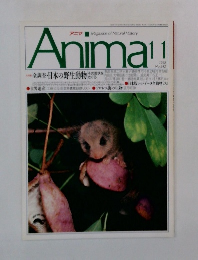 Anima　1992年11月号