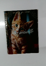 豪華写真シリーズ ねこ