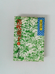 笛吹童子　上　新諸国物語　2