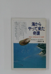 海から やって来た 奇蹟