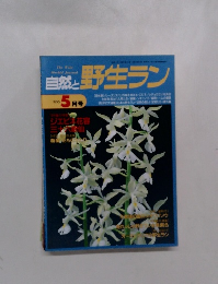 自然と野生ラン　1995年5月号