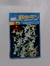 自然と野生ラン　1995年5月号