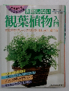 失敗しない　観葉植物入門　