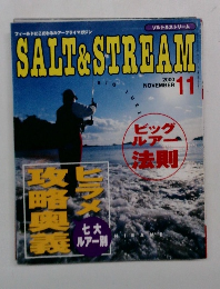 SALT&STREAM　2000年11月号