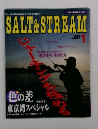 SALT&STREAM　2002年1月