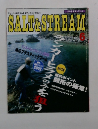 SALT&STREAM2002年6月号