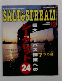 SALT&STREAM　2000年12月号　