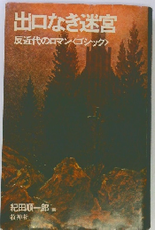 出口なき迷宮　反近代のロマン〈ゴシック>