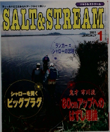 SALT&STREAM 2001年1月号
