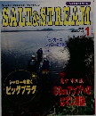 SALT&STREAM 2001年1月号