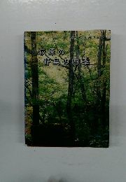 萩原の野鳥の四季