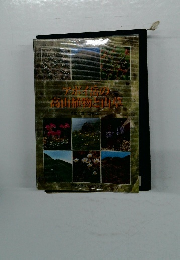 アポイ岳の富山植物と山草