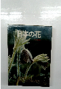 日本の花