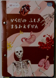 からだのふしぎまるみえずかん