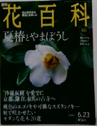 週刊花百科 66　2005年6/23号