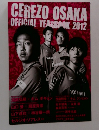 CEREZO OSAKA OFFICIAL YEARBOOK 2012