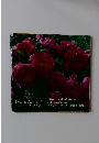 Handbook of Roses 2nd Japanese Edition バラのハンドブック 日本語版 第2版