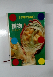 植物　しょくぶつ