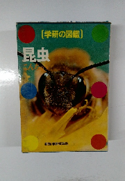 昆虫　こんちゅう