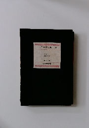 世界文学全集80